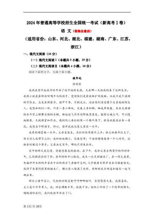 2024年高考真题——语文(新高考Ⅰ卷)含答案