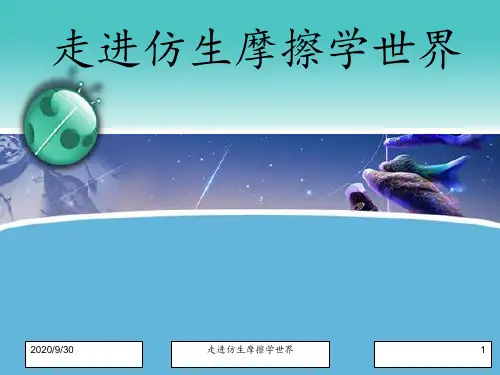 走进仿生摩擦学世界