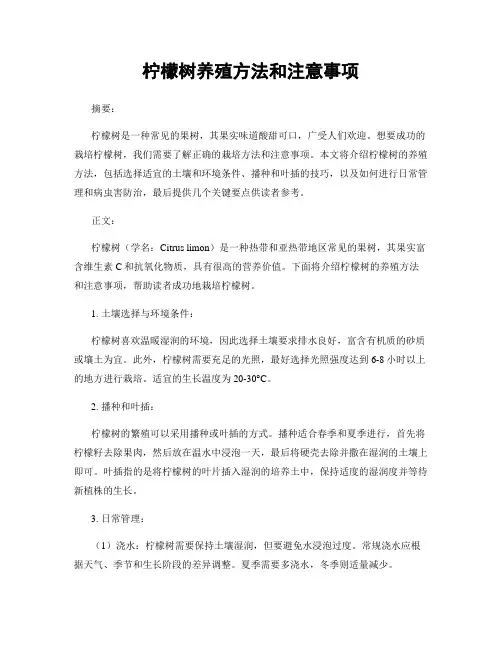 柠檬树养殖方法和注意事项