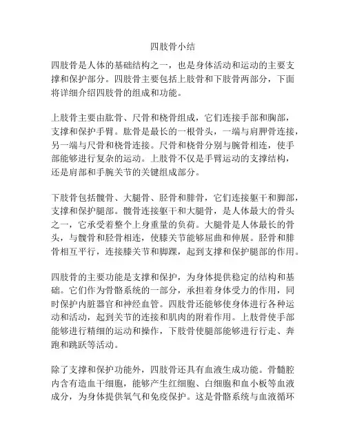 四肢骨小结