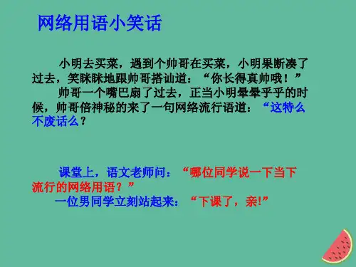 八上第四单元综合性学习《我们的互联网时代》课件(幻灯片28张)
