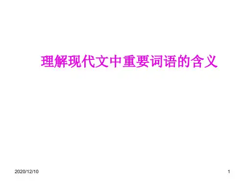 理解现代文中重要词语的含义PPT教学课件