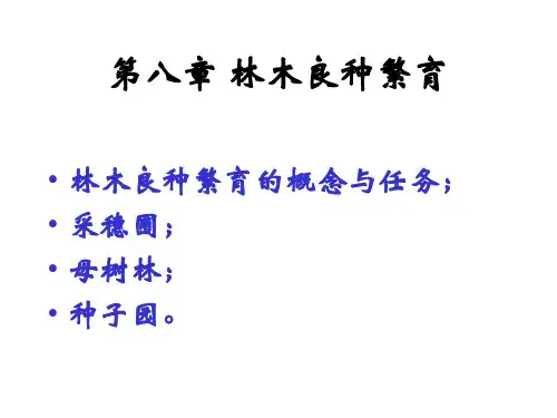 8林木良种繁育