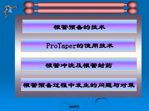 根管预备  ppt课件