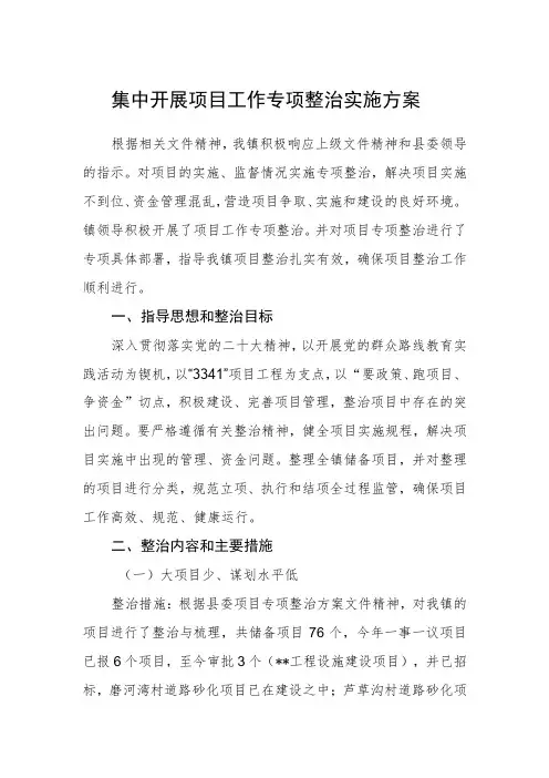 集中开展项目工作专项整治实施方案