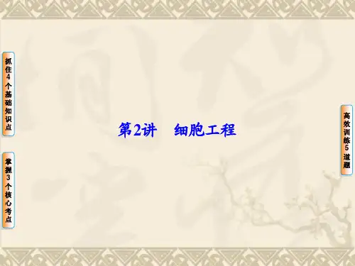 【高考讲坛】(新课标)高考生物一轮复习 第2讲 细胞工程课件