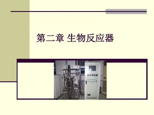 第二章生物反应器