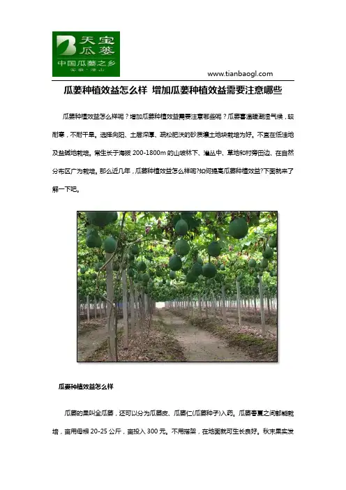瓜蒌种植效益怎么样-增加瓜蒌种植效益需要注意哪些