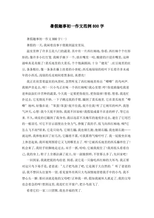 暑假趣事初一作文范例800字
