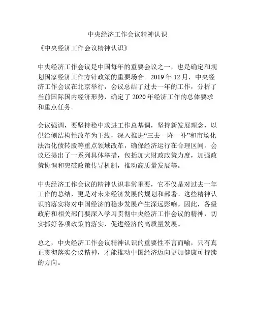 中央经济工作会议精神认识