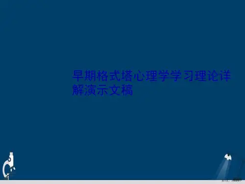 早期格式塔心理学学习理论详解演示文稿