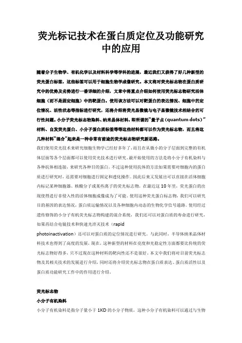 荧光标记技术在蛋白质定位及功能研究中的应用