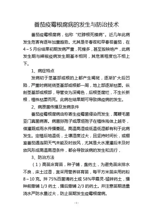 番茄疫霉根腐病的发生与防治技术