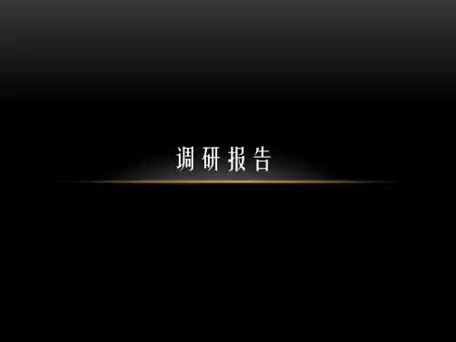 中国近代建筑史 -外滩建筑群调研报告