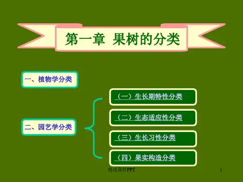 果树分类介绍ppt课件