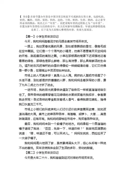 小学生买年货日记大全（10篇）