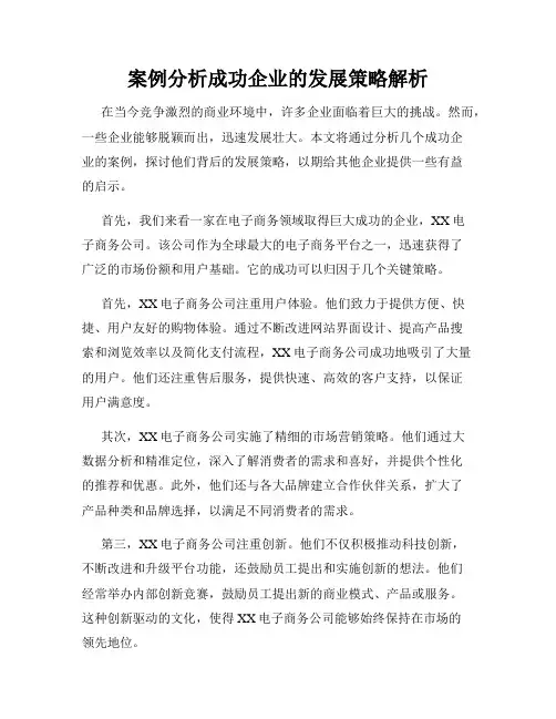 案例分析成功企业的发展策略解析