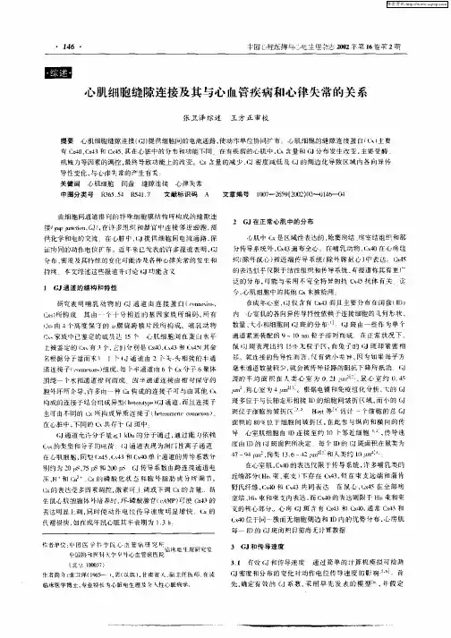 心肌细胞缝隙连接及其与心血管疾病和心律失常的关系