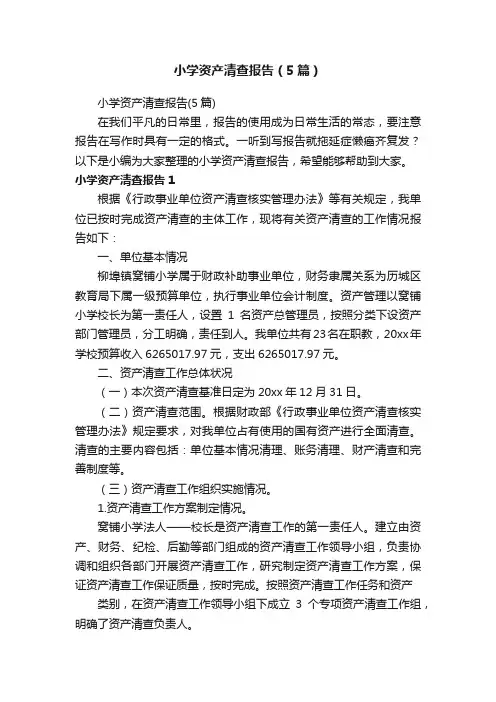 小学资产清查报告（5篇）