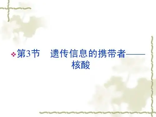 新人教版必修1高中生物第2章第3节遗传信息的携带者核酸课件