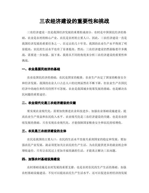 三农经济建设的重要性和挑战