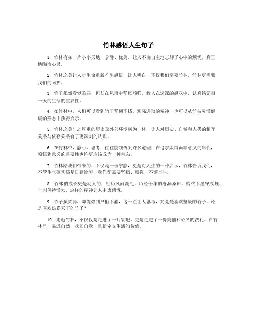 竹林感悟人生句子