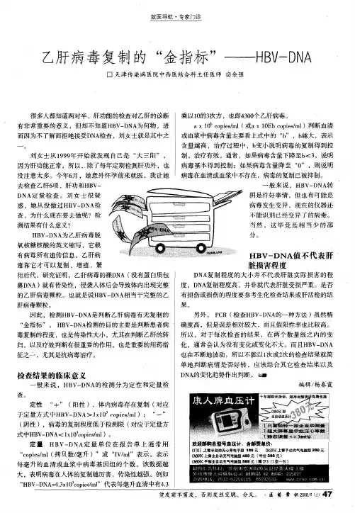 乙肝病毒复制的“金指标”—HBV-DNA