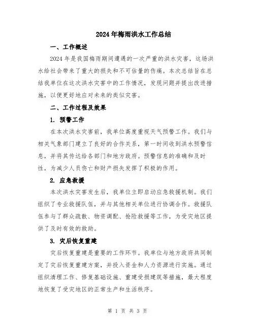 2024年梅雨洪水工作总结