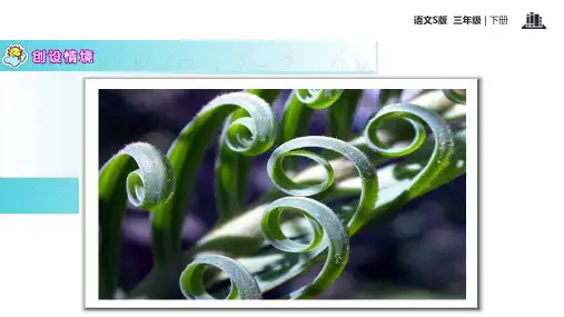 三年级下册语文课件15奇异的植物世界∣语文S版 (共18张PPT)