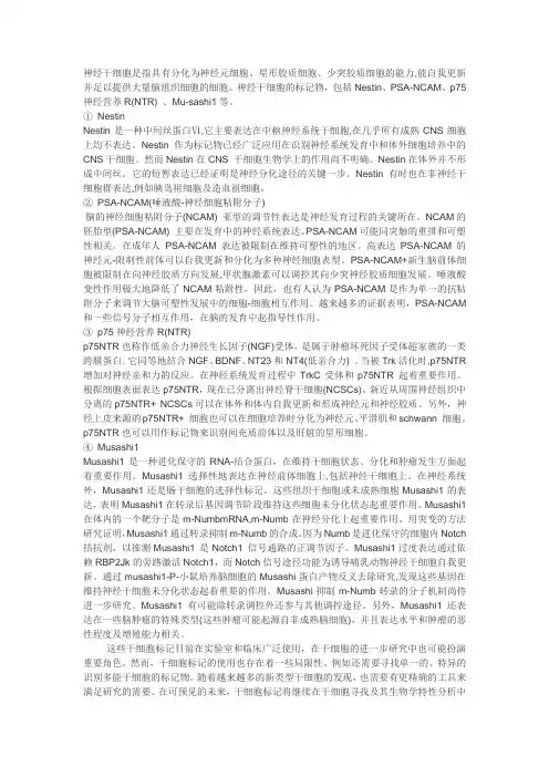 神经干细胞(NSC) 标记物