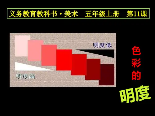 色彩的明度-教学课件