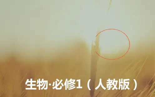 2018秋生物必修1课件：第3章第2节第2课时细胞器之间的协调配合和细胞的生物膜系统