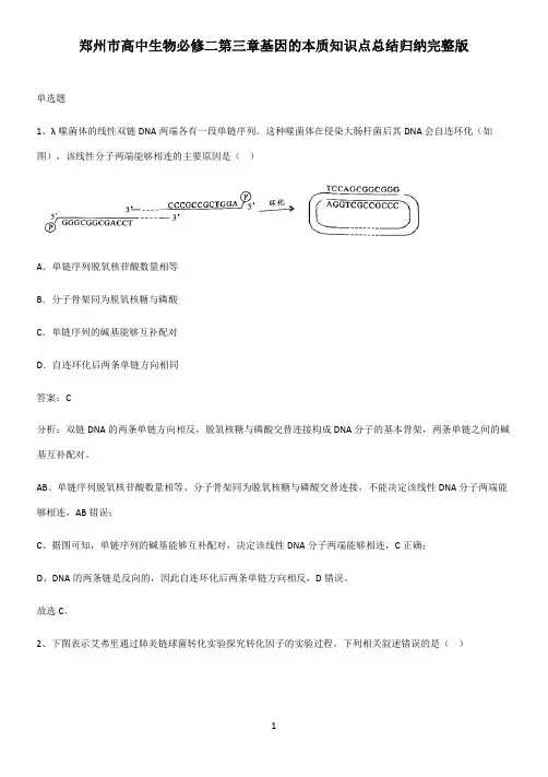 郑州市高中生物必修二第三章基因的本质知识点总结归纳完整版