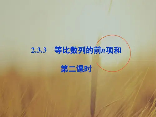 最新-2018高中数学 第二章233节第二课时等比数列的前n项和课件 必修5 精品 