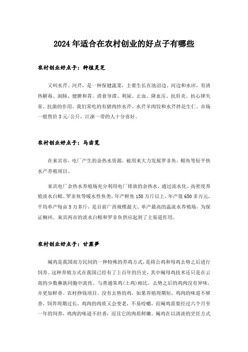 2024年创业_适合在农村创业的好点子有哪些