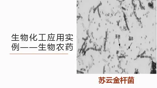 生物化工应用实例——生物农药苏云金杆菌