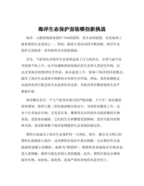 海洋生态保护面临哪些新挑战