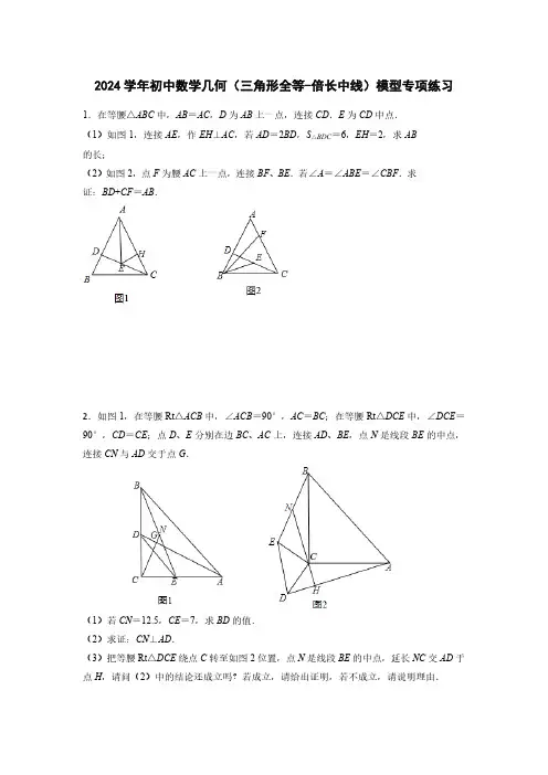 2024学年初中数学几何(三角形全等-倍长中线)模型专项练习(附答案)