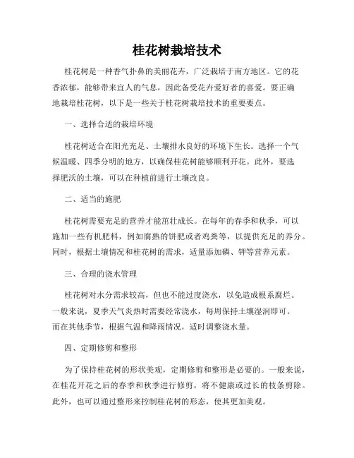 桂花树栽培技术