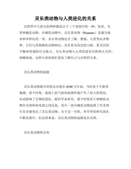 灵长类动物与人类进化的关系