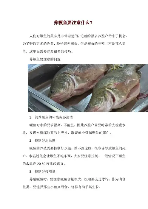 养鳜鱼要注意什么？