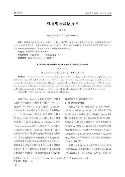 闽楠高效栽培技术
