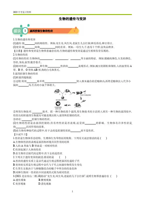 中考复习：生物的遗传与变异