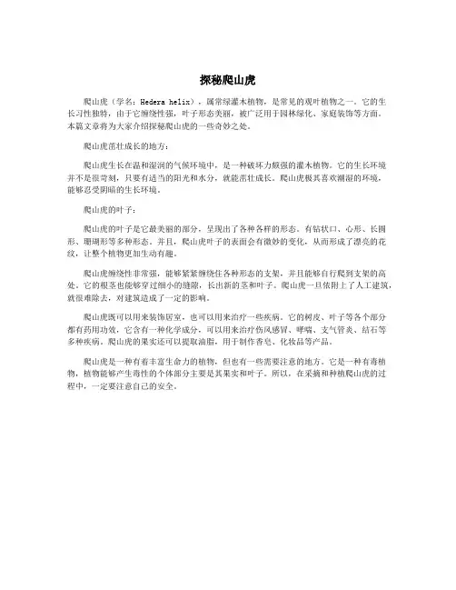 探秘爬山虎
