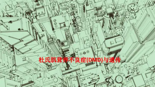 杜氏肌营养不良症(DMD)与遗传