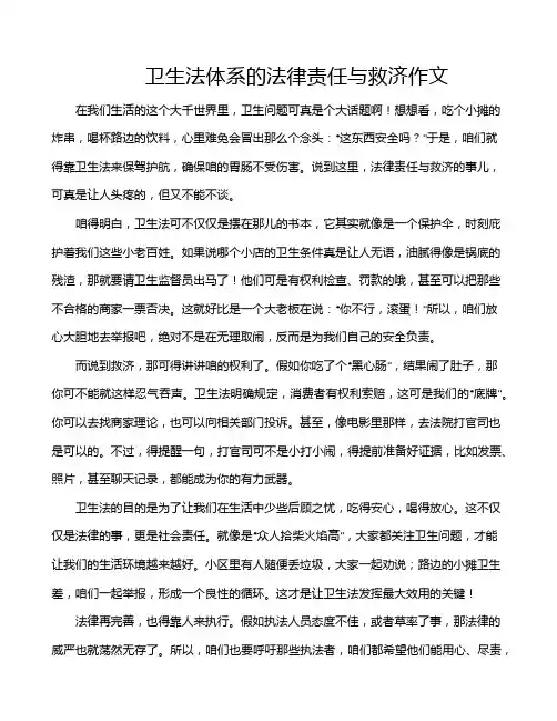 卫生法体系的法律责任与救济作文