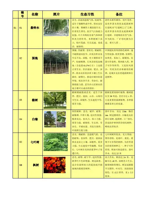 景观树木