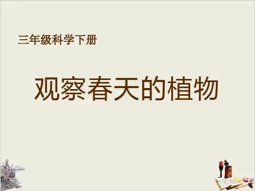观察春天的植物_天气与植物PPT课件