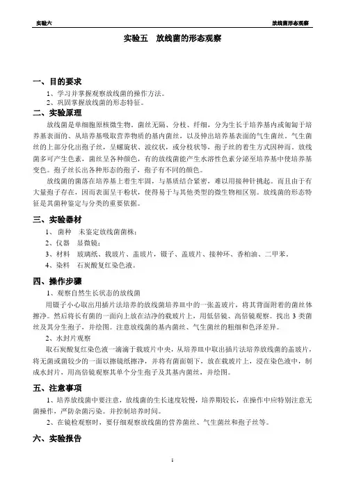 实验5-放线菌形态观察