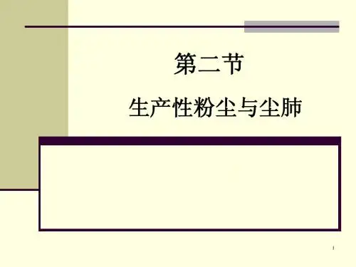 生产性粉尘与尘肺